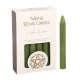 Spell Candle Cedar and Pine Winter Ritual Candles 12 pack